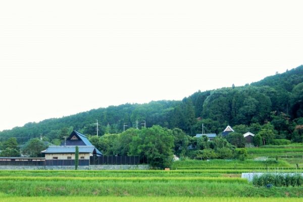 地方創生の問題点を解決する